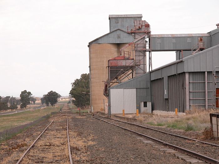 
The silo which is the only reason for the line still being opened at all.
This is the view looking towards Tamworth.
