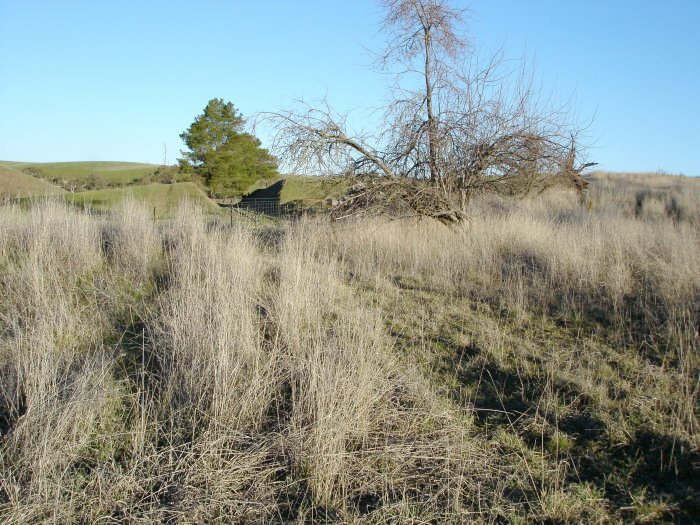 The view looking south towards Tumbarumba.