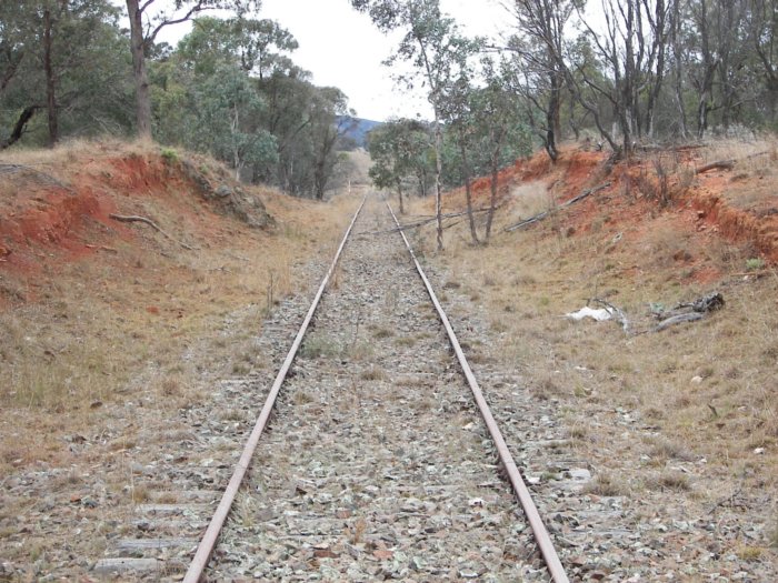 The view looking north from road crossing.