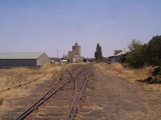 
The view towards the grain silos, looking towards Blayney.
